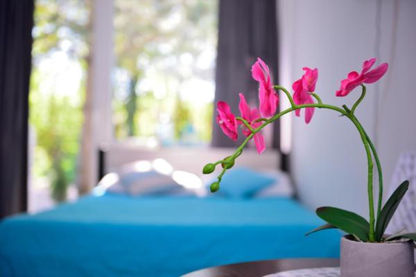 Blekitne Tarasy Bed & Breakfast Ustronie Morskie